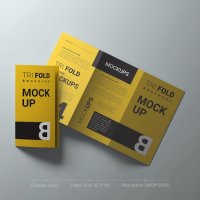 флаери - 74688 постижения